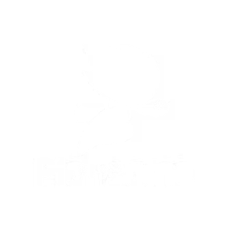 Playsome Logo White-1