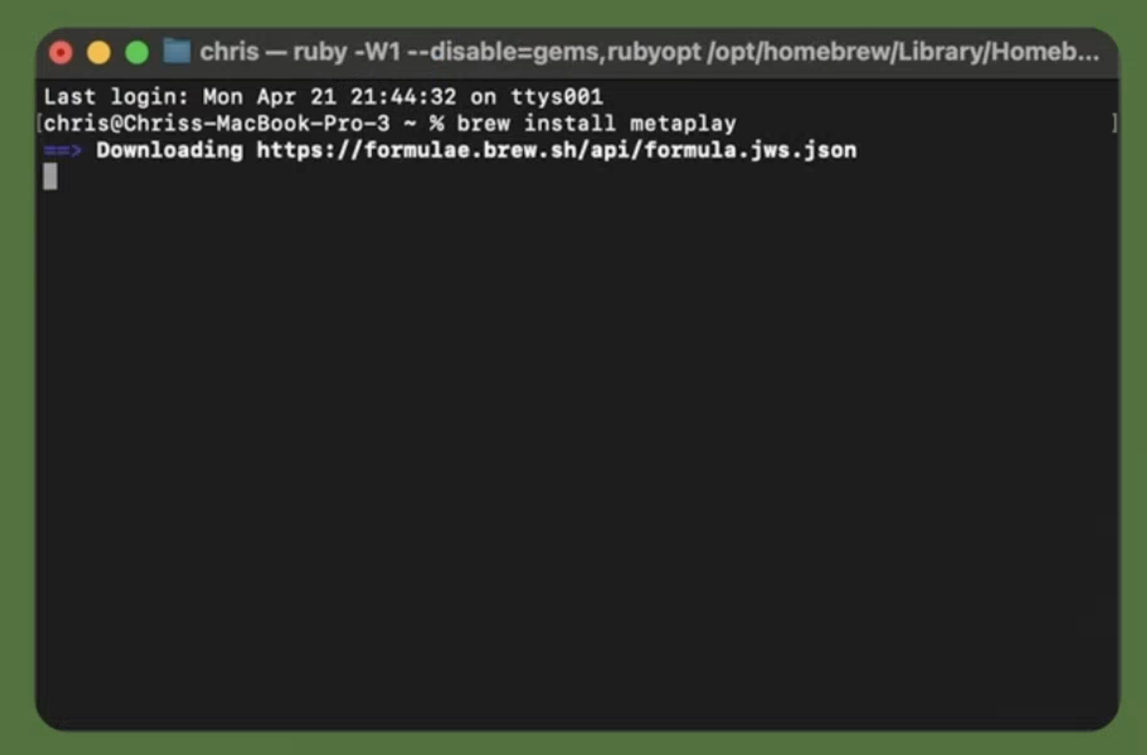 Installing Metaplay via Homebrew