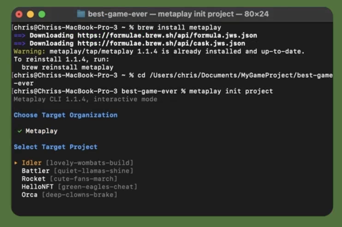 Choosing organization and project
