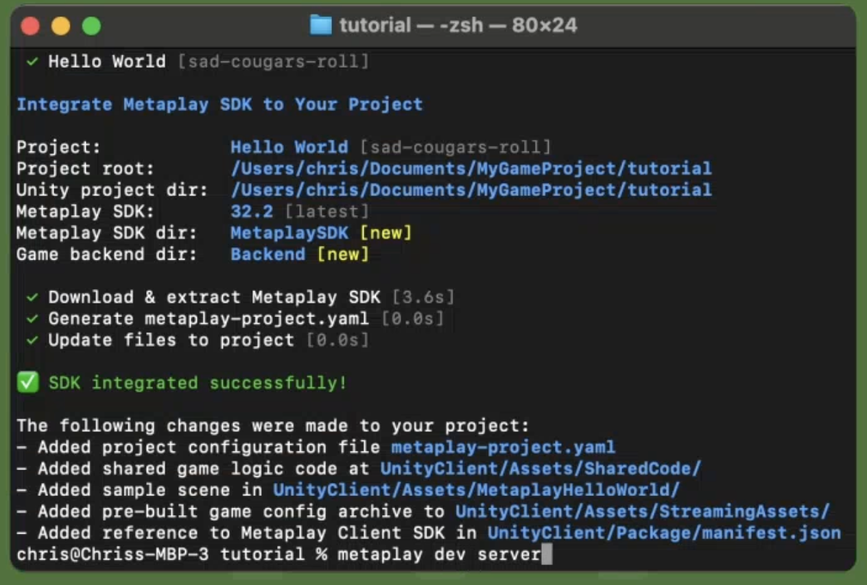 Starting the local Metaplay game server
